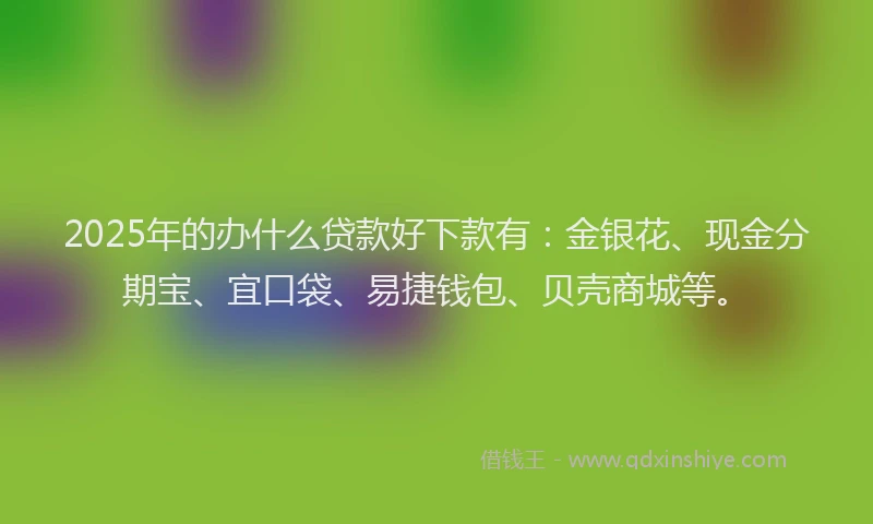 2025年的办什么贷款好下款有：金银花、现金分期宝、宜口袋、易捷钱包、贝壳商城等。