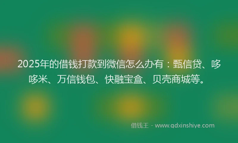 2025年的借钱打款到微信怎么办有：甄信贷、哆哆米、万信钱包、快融宝盒、贝壳商城等。