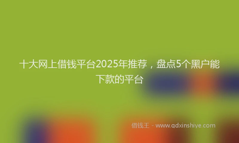 十大网上借钱平台2025年推荐，盘点5个黑户能下款的平台