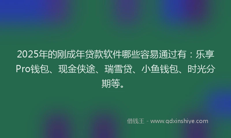 2025年的刚成年贷款软件哪些容易通过有：乐享Pro钱包、现金侠途、瑞雪贷、小鱼钱包、时光分期等。