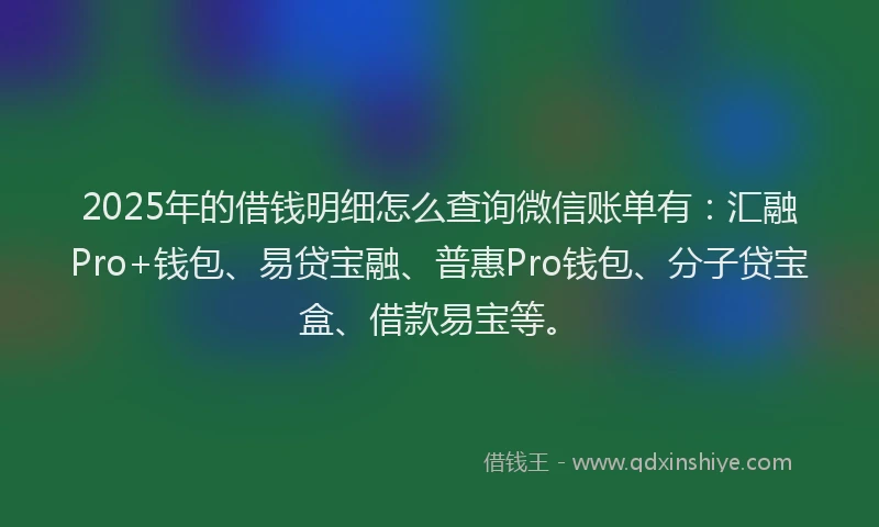 2025年的借钱明细怎么查询微信账单有：汇融Pro+钱包、易贷宝融、普惠Pro钱包、分子贷宝盒、借款易宝等。