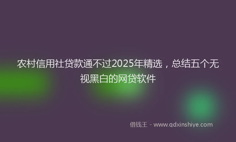 农村信用社贷款通不过2025年精选，总结五个无视黑白的网贷软件