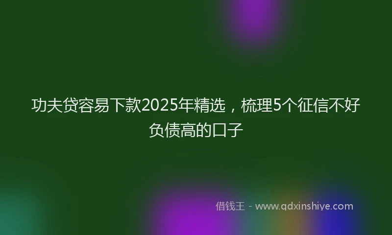 功夫贷容易下款2025年精选，梳理5个征信不好负债高的口子