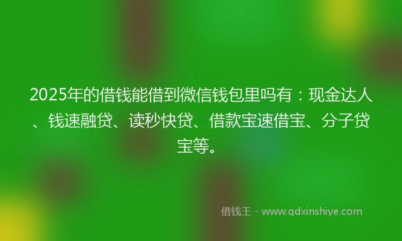 2025年的借钱能借到微信钱包里吗有：现金达人、钱速融贷、读秒快贷、借款宝速借宝、分子贷宝等。