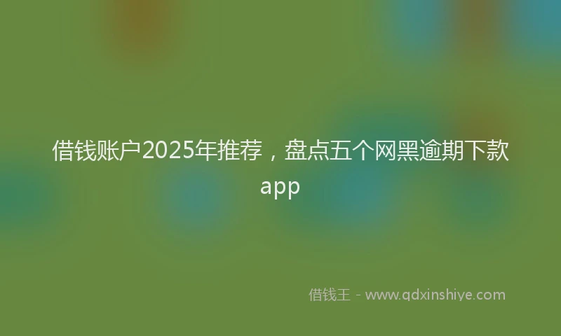 借钱账户2025年推荐，盘点五个网黑逾期下款app