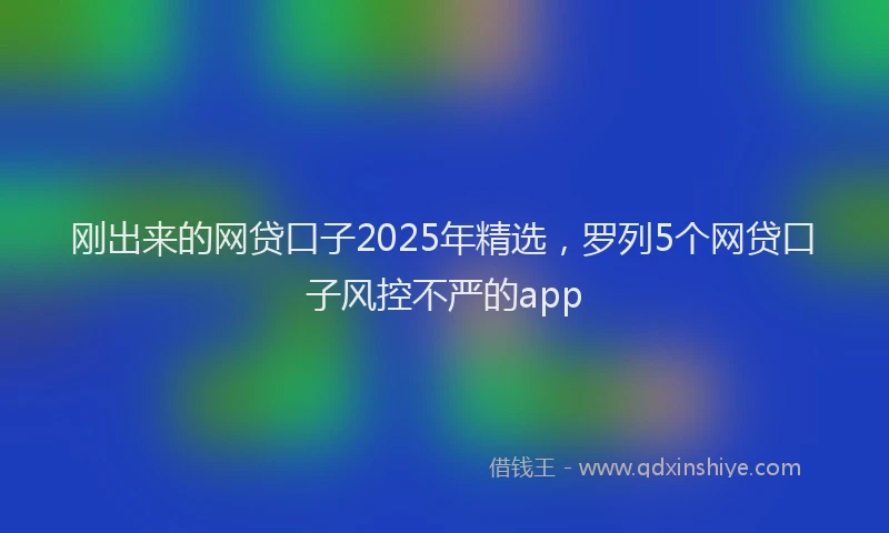 刚出来的网贷口子2025年精选，罗列5个网贷口子风控不严的app