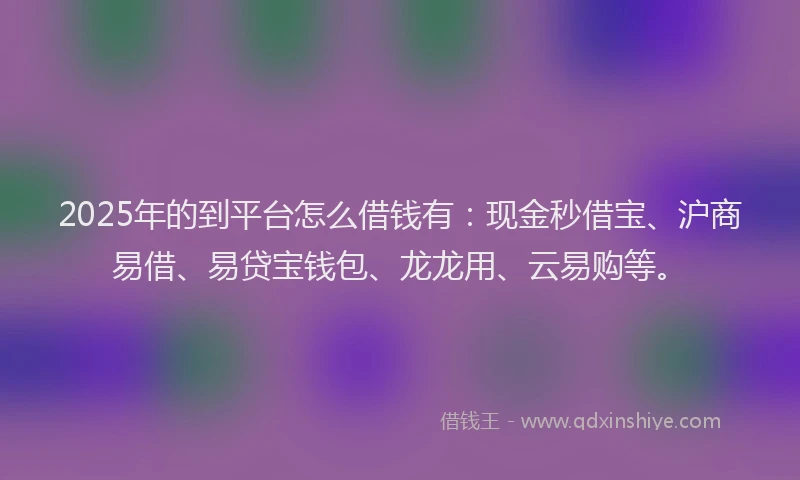 2025年的到平台怎么借钱有：现金秒借宝、沪商易借、易贷宝钱包、龙龙用、云易购等。