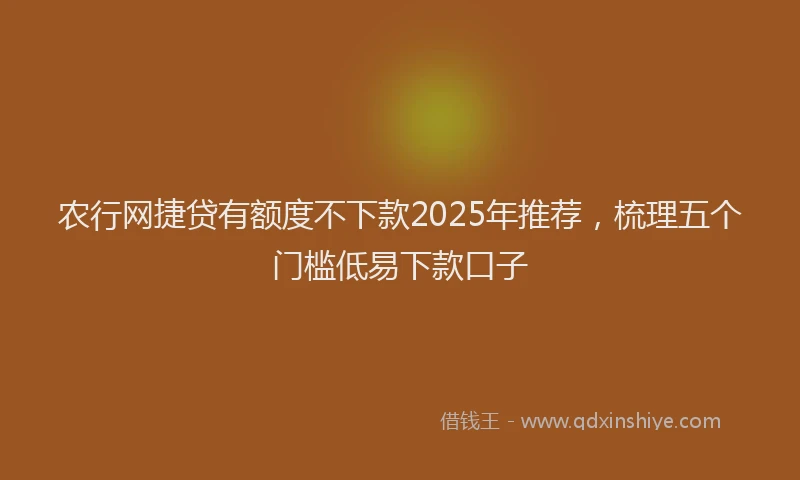 农行网捷贷有额度不下款2025年推荐，梳理五个门槛低易下款口子