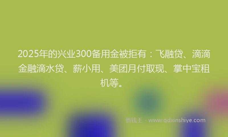 2025年的兴业300备用金被拒有：飞融贷、滴滴金融滴水贷、薪小用、美团月付取现、掌中宝租机等。