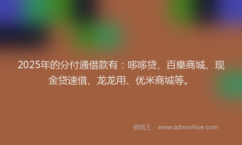 2025年的分付通借款有：哆哆贷、百樂商城、现金贷速借、龙龙用、优米商城等。