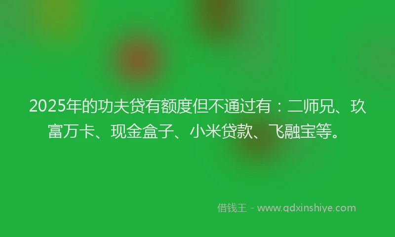 2025年的功夫贷有额度但不通过有：二师兄、玖富万卡、现金盒子、小米贷款、飞融宝等。