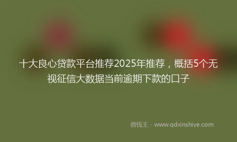 十大良心贷款平台推荐2025年推荐，概括5个无视征信大数据当前逾期下款的口子