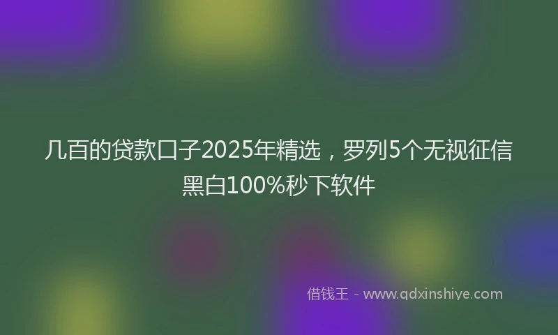 几百的贷款口子2025年精选，罗列5个无视征信黑白100%秒下软件