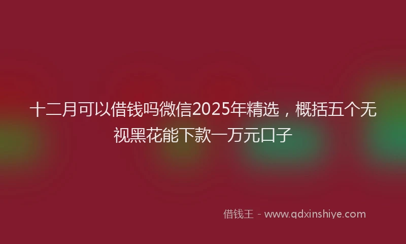 十二月可以借钱吗微信2025年精选，概括五个无视黑花能下款一万元口子