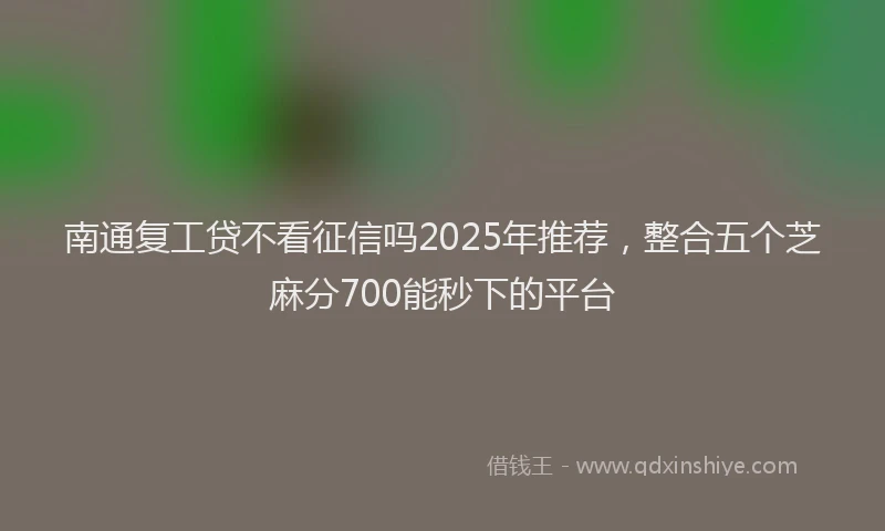 南通复工贷不看征信吗2025年推荐，整合五个芝麻分700能秒下的平台