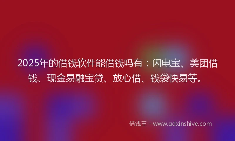 2025年的借钱软件能借钱吗有：闪电宝、美团借钱、现金易融宝贷、放心借、钱袋快易等。