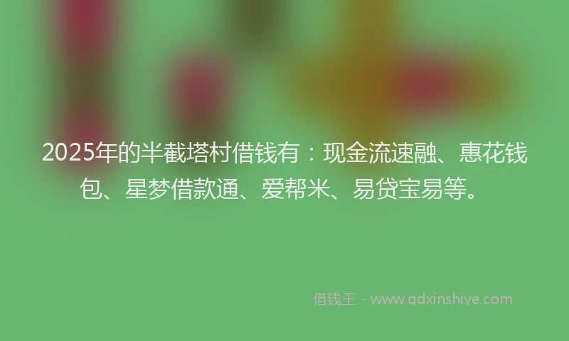 2025年的半截塔村借钱有：现金流速融、惠花钱包、星梦借款通、爱帮米、易贷宝易等。