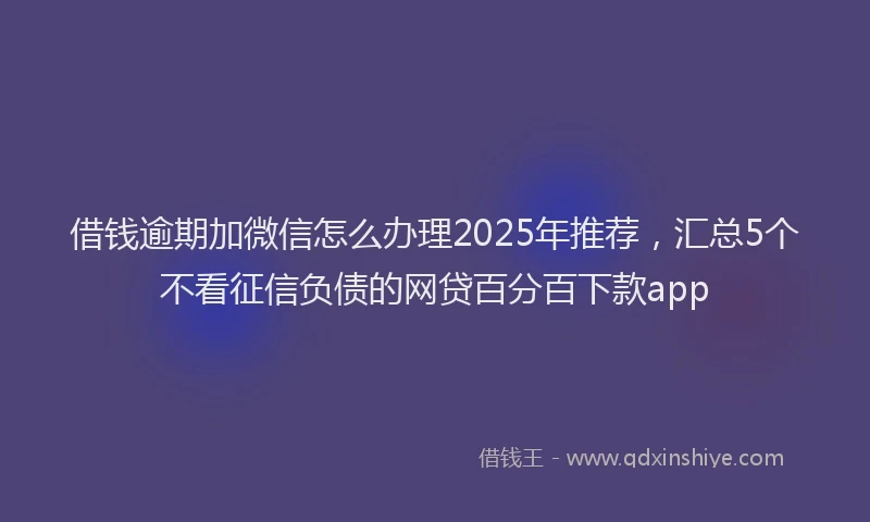 借钱逾期加微信怎么办理2025年推荐，汇总5个不看征信负债的网贷百分百下款app