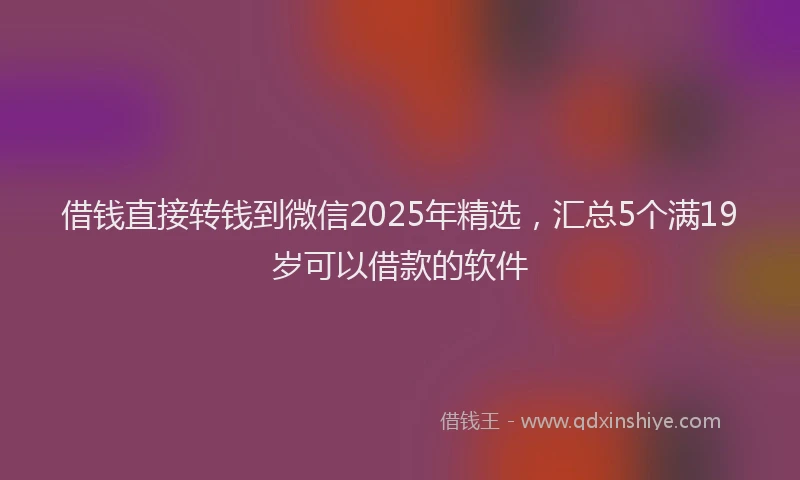 借钱直接转钱到微信2025年精选，汇总5个满19岁可以借款的软件