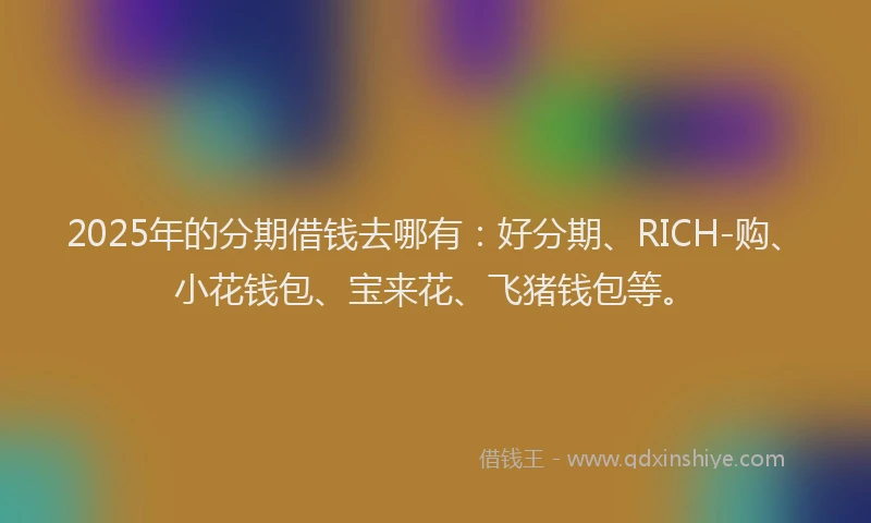 2025年的分期借钱去哪有：好分期、RICH-购、小花钱包、宝来花、飞猪钱包等。