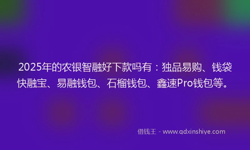 2025年的农银智融好下款吗有：独品易购、钱袋快融宝、易融钱包、石榴钱包、鑫速Pro钱包等。