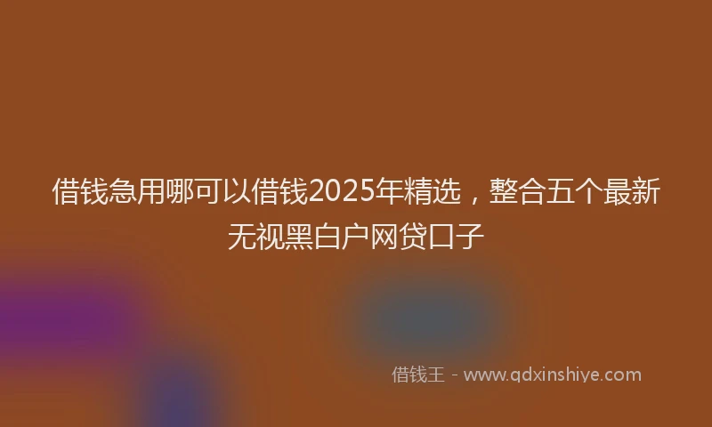 借钱急用哪可以借钱2025年精选，整合五个最新无视黑白户网贷口子