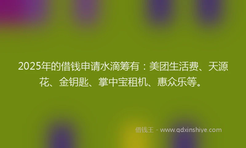 2025年的借钱申请水滴筹有：美团生活费、天源花、金钥匙、掌中宝租机、惠众乐等。