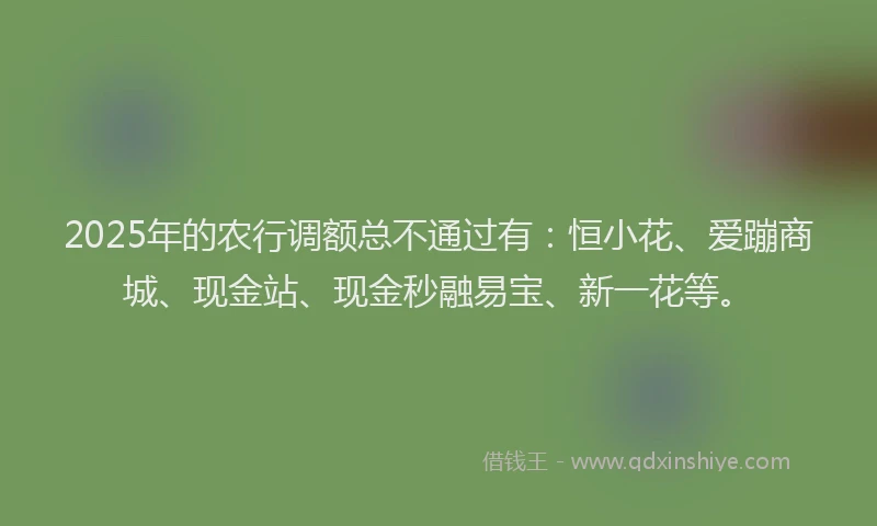 2025年的农行调额总不通过有：恒小花、爱蹦商城、现金站、现金秒融易宝、新一花等。