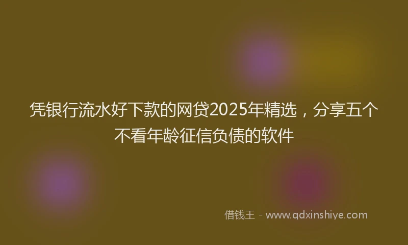 凭银行流水好下款的网贷2025年精选，分享五个不看年龄征信负债的软件