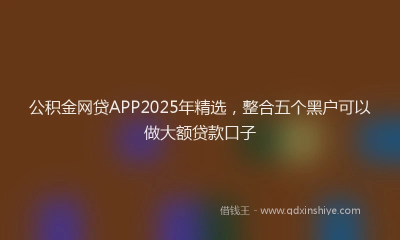 公积金网贷APP2025年精选，整合五个黑户可以做大额贷款口子
