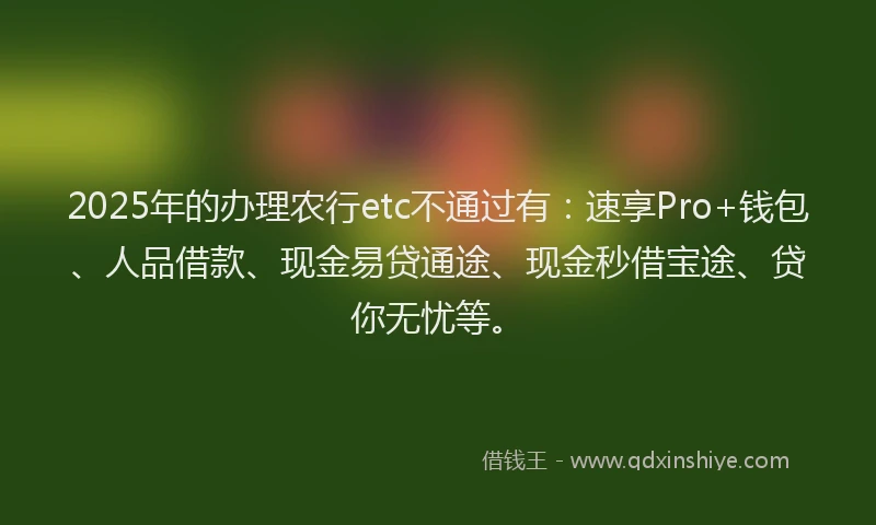 2025年的办理农行etc不通过有：速享Pro+钱包、人品借款、现金易贷通途、现金秒借宝途、贷你无忧等。
