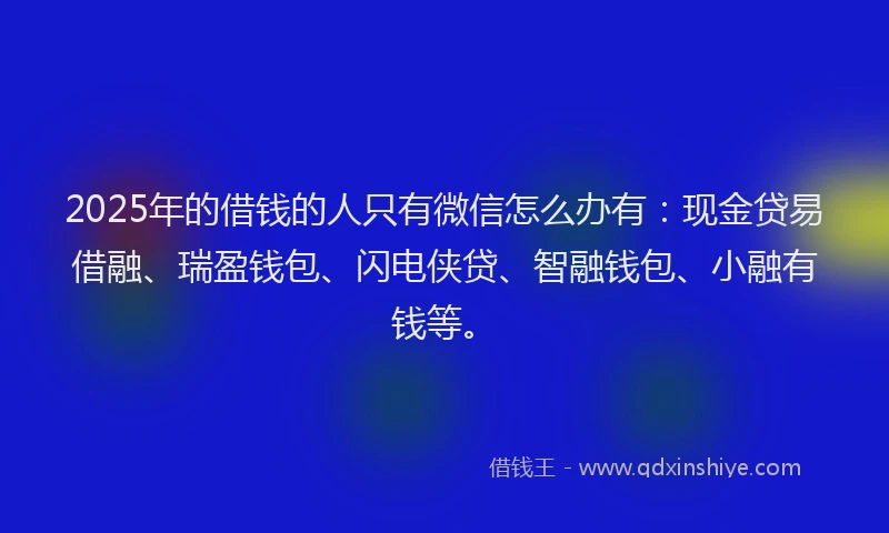 2025年的借钱的人只有微信怎么办有：现金贷易借融、瑞盈钱包、闪电侠贷、智融钱包、小融有钱等。