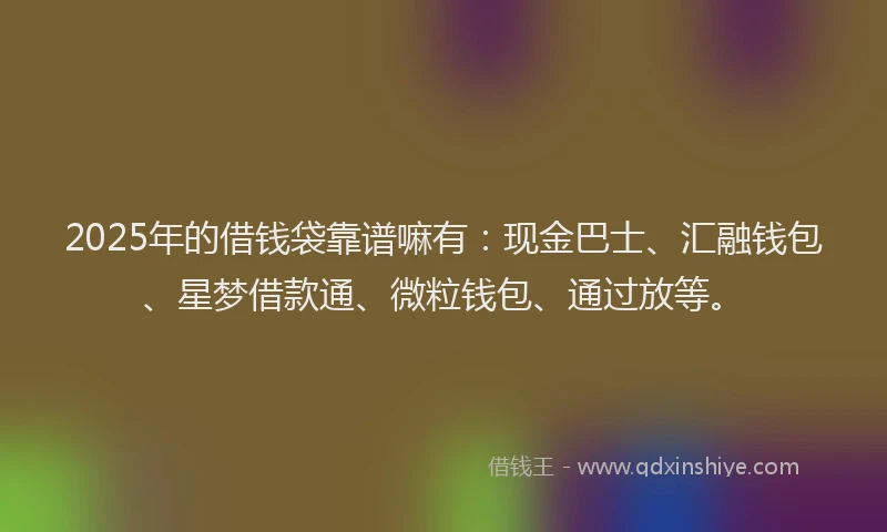 2025年的借钱袋靠谱嘛有：现金巴士、汇融钱包、星梦借款通、微粒钱包、通过放等。