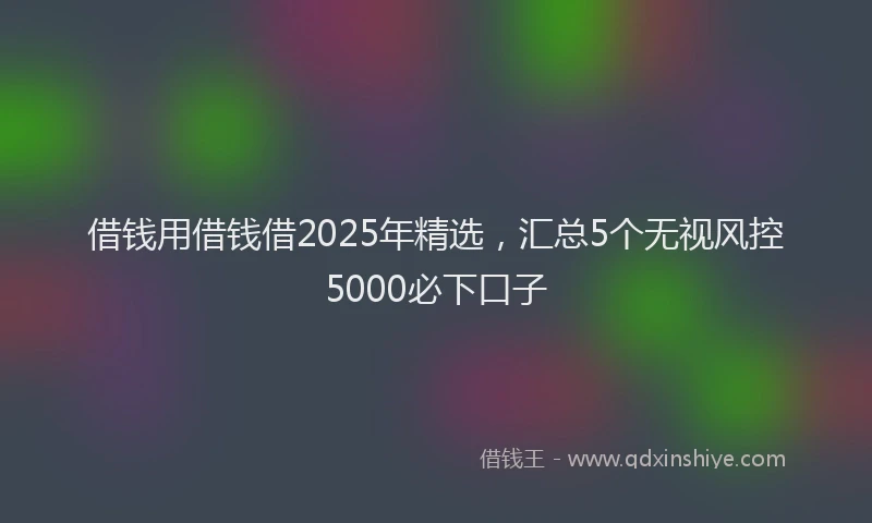 借钱用借钱借2025年精选，汇总5个无视风控5000必下口子