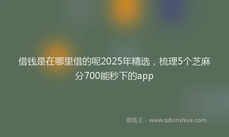 借钱是在哪里借的呢2025年精选，梳理5个芝麻分700能秒下的app