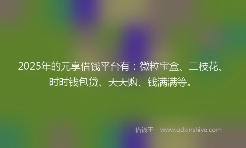 2025年的元享借钱平台有：微粒宝盒、三枝花、时时钱包贷、天天购、钱满满等。