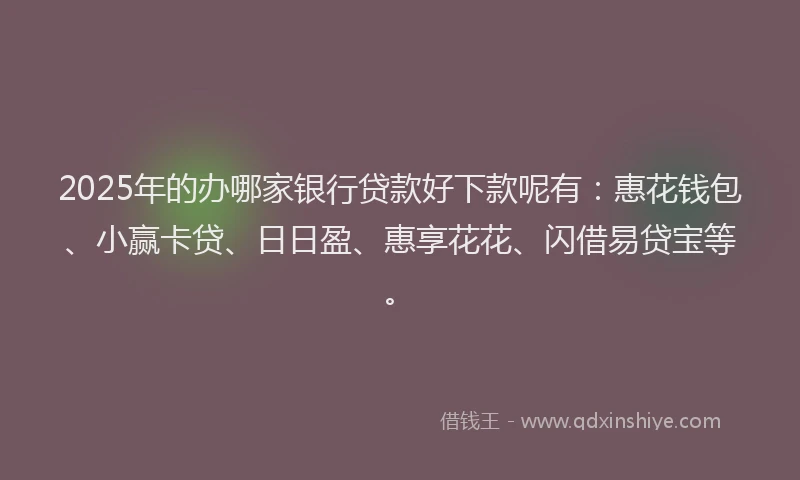 2025年的办哪家银行贷款好下款呢有：惠花钱包、小赢卡贷、日日盈、惠享花花、闪借易贷宝等。