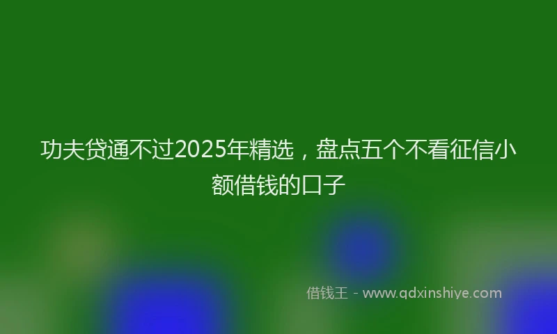 功夫贷通不过2025年精选，盘点五个不看征信小额借钱的口子