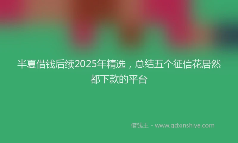 半夏借钱后续2025年精选，总结五个征信花居然都下款的平台