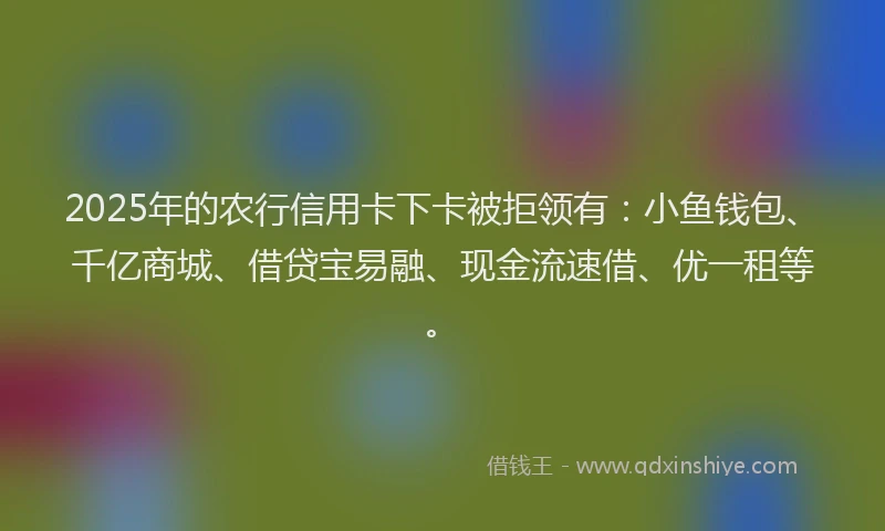 2025年的农行信用卡下卡被拒领有：小鱼钱包、千亿商城、借贷宝易融、现金流速借、优一租等。