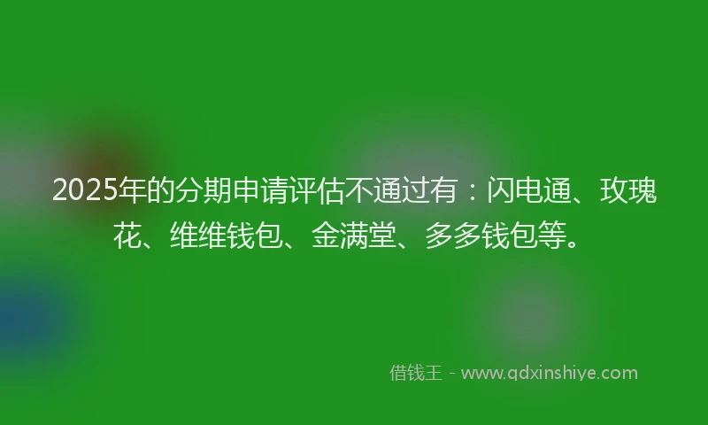 2025年的分期申请评估不通过有：闪电通、玫瑰花、维维钱包、金满堂、多多钱包等。