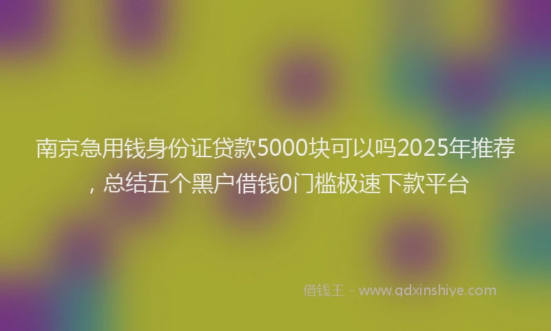 南京急用钱身份证贷款5000块可以吗2025年推荐，总结五个黑户借钱0门槛极速下款平台