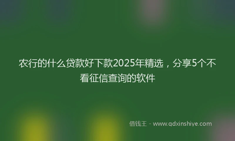 农行的什么贷款好下款2025年精选，分享5个不看征信查询的软件