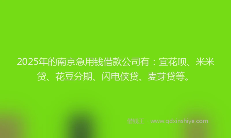 2025年的南京急用钱借款公司有：宜花呗、米米贷、花豆分期、闪电侠贷、麦芽贷等。
