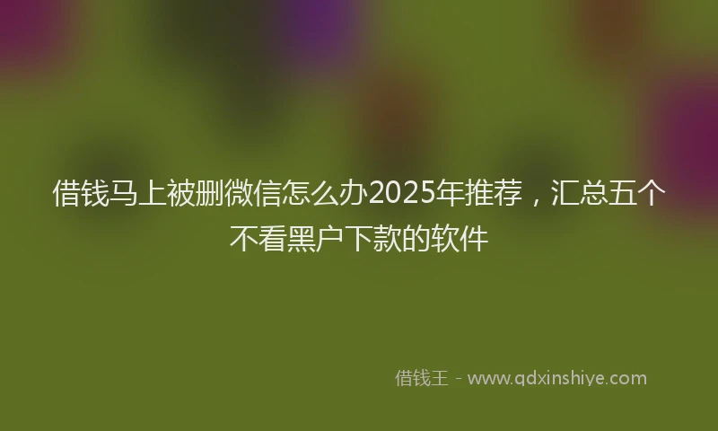 借钱马上被删微信怎么办2025年推荐，汇总五个不看黑户下款的软件
