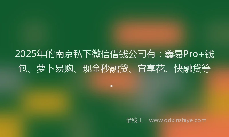 2025年的南京私下微信借钱公司有：鑫易Pro+钱包、萝卜易购、现金秒融贷、宜享花、快融贷等。