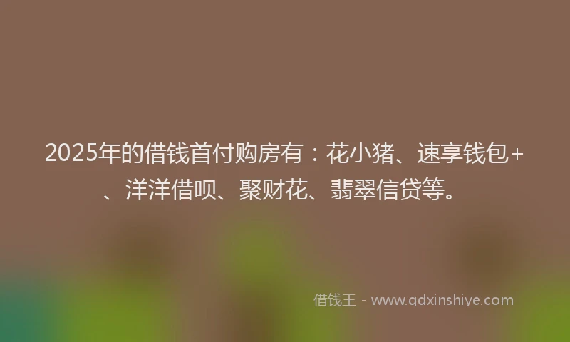 2025年的借钱首付购房有：花小猪、速享钱包+、洋洋借呗、聚财花、翡翠信贷等。