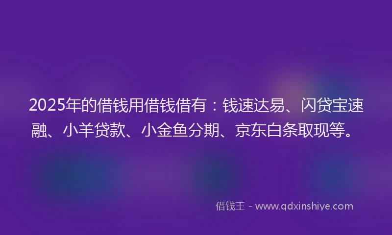 2025年的借钱用借钱借有：钱速达易、闪贷宝速融、小羊贷款、小金鱼分期、京东白条取现等。