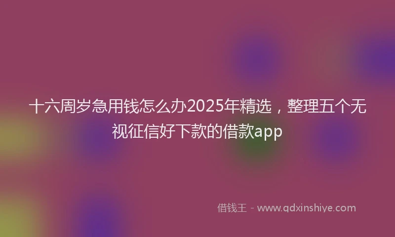 十六周岁急用钱怎么办2025年精选，整理五个无视征信好下款的借款app