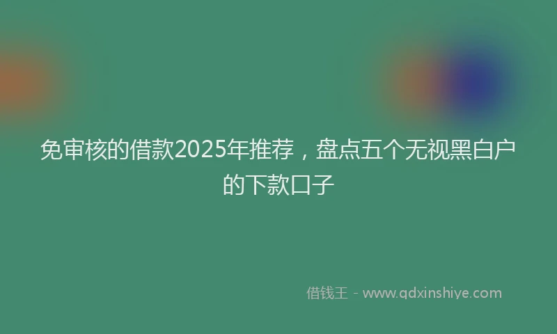 免审核的借款2025年推荐，盘点五个无视黑白户的下款口子